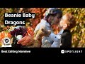 Giving over 200 Beanie Baby Dragons a place to call home