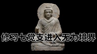 第五百五十八章 修习七觉支进入无为境界。完全读懂巴利文大藏经（558）