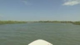 Pakistan's mangrove forests under threat from fishermen