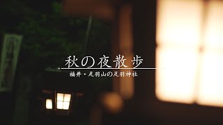 紅葉　秋の夜散歩 in 足羽神社