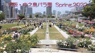 大阪・中之島バラ園 Spring,2022