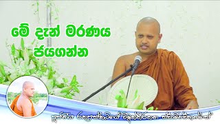 මේ දැන් මරණය ජයගන්න