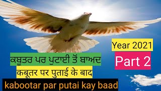 ਕਬੂਤਰ ਬਾਜੀ 2021 Part 2 ਕਬੂਤਰ ਪਰ ਪੁਟਾਈ ਤੋਂ ਬਾਅਦ ਵਿੱਚ kabootar baji kabootar par putai ke baad jarori