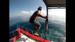 Hikkaduwa Lihini gala swimming ( 40m Deep ) - Gopro Hero 5