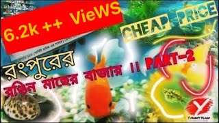 রঙ্গিন মাছ এর বাজার রংপুর | Part-2 | Rangpur |AQUARIUM fish market | price nd details **cheap price