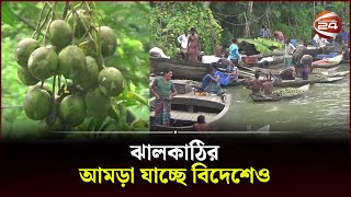 বরিশালের আমড়ার যোগান দিচ্ছে ঝালকাঠি | Jhalakati Amra Bazar | Channel 24