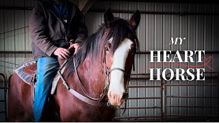 From Surviving To Thriving! - Rescued Clydesdales UNBELIEVABLE First Ride!