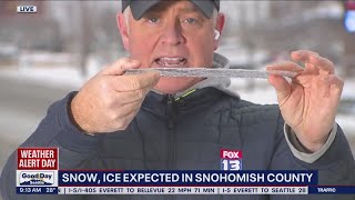 Freezing rain leaves frozen exoskeleton of ice all over Snohomish County | FOX 13 Seattle