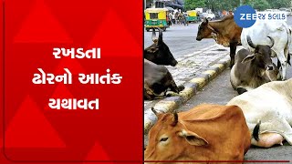 Jamnagar: Stray cattle seen roaming in Saurashtra's biggest GG Hospital; Patients troubled