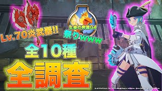 【ブルプロ】5月アプデにてついにLv70炎武器!![いぶ]