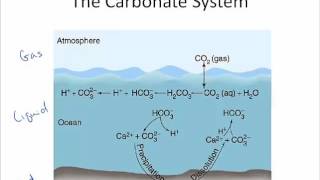Water Chem Alkalinity Part 1