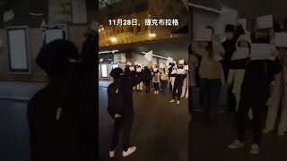 捷克留学生及华人在街头发声