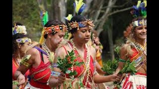 Unique and Latest Festivals in 2022 With Crystal View of Beautiful Madang Sea| Only in PNG View