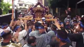 平成27年 日暮里 諏訪神社  大祭  町會神輿渡御 。