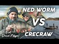 CHALLENGE - Ned worm VS Crecraw feat. Daniel Nilsson