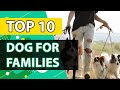 Finding the Perfect Family Dog: Top 10 Breeds for a Loving and Loyal Companion