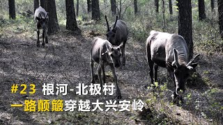 中國最東北自駕游#23，根河-北極村，一路顛簸穿越大興安嶺