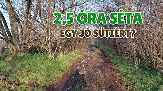 2,5 óra séta egy 🍰 sütiért? | 153 perc