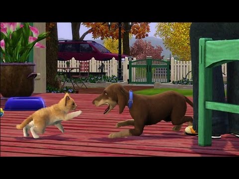 Sims 3 pets: cheats - ps3 Sims 3 pets: cheats - ps3
