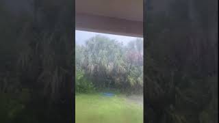 Intense Winds Whip Rain, Trees Around in Brevard County, FL