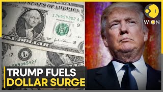 USA: Dollar Dominates As Top Currency Of 2024 | World News | WION