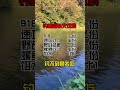 钓鱼不空军 钓鱼技巧 爆护饵料 钓鱼人的快乐 钓不到鱼 我吃@dou 小助手