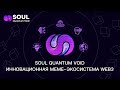 Soul Quantum Void | Инновационная MEME-экосистема WEB3