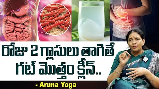 రోజు 2 గ్లాసులు తాగితే మీ గట్ క్లీన్..| Food to Improve Gut Health in Telugu | Arunayoga | iDream