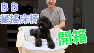 Aprica highchair 餐搖床椅 開箱 | 靚媽媽生BB Ep4