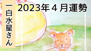 2023年4月運勢 一白水星さん