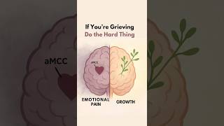Your Brain During Grief - What Actually Happens?