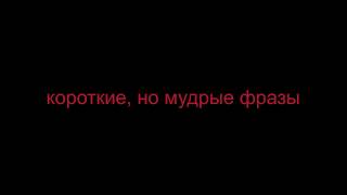 короткие, но мудрые фразы. Смотреть обязательно!