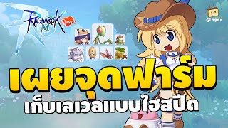 เผยจุดฟาร์มสำหรับเก็บเลเวลช่วงต้นเกม | Ragnarok M: Classic