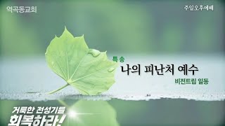 역곡동교회 25.02.02(주일) 오후 | 엘림오케스트라 - 주 품에