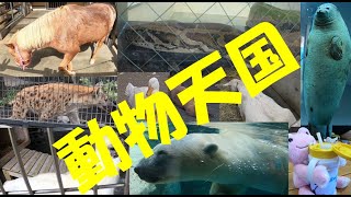 日本平動物園の裏側からスタート_その1