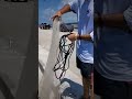 How to Throw a CastNet From a Fishing Pier & Be SUCCESSFUL Every time!