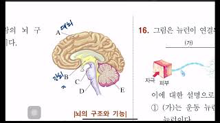 4단원 자극과 반응 #중3#형성평가 #문제풀이#시험전에제발..봐여