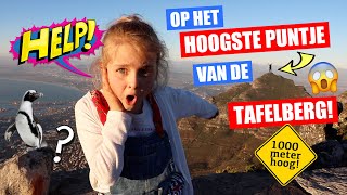 HELP!! DURVEN WIJ NAAR HET PUNTJE van de TAFELBERG? +Pinguïns Zoeken [AFRIKA VLOG 8] ♥DeZoeteZusjes♥