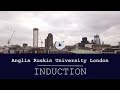 Induction to ARU London