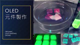 陳方中老師實驗室 FCC Lab (2019)