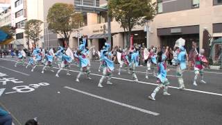 第14回よさこい東海道(2010/11/13)「大富士祭組with雄大グループ」