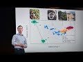 How we study the microbes living in your gut | Dan Knights