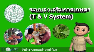 ระบบส่งเสริมการเกษตร (T\u0026V System)