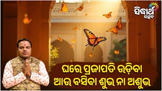 ଘରେ ପ୍ରଜାପତି ଉଡ଼ିବା ଆଉ ବସିବା ଶୁଭ ନା ଅଶୁଭ ?| Jiban Jigyansha | Chitaranjan Mahapatra | Sidharth Utsav