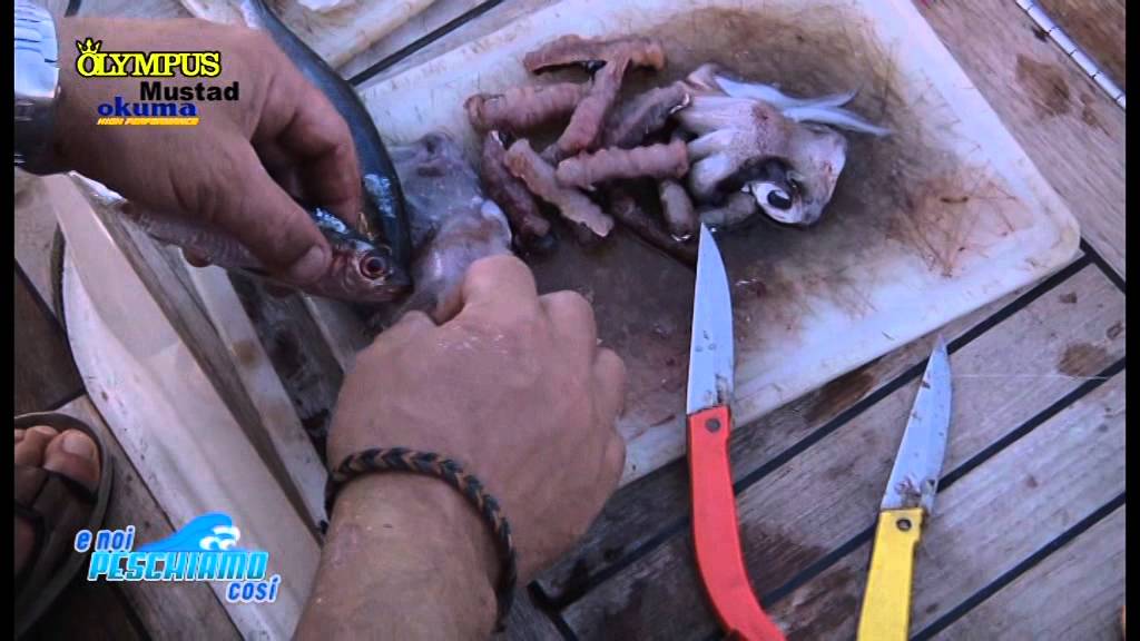 Bolentino Di Profondita Youtube