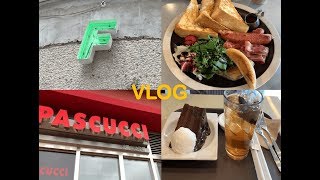 VLOGㅣ동네에서 먹고 논 일상 (브런치, 놀이터, 파스쿠찌)ㅣ브이로그 ㅣ 둥둥가