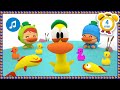 🐟 Maman canard + Les petits possions dans l'eau [4min]|Chansons pour Bébés |POCOYO FRANÇAIS🎵