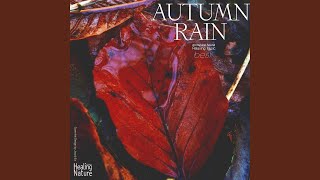 가을의 낭만을 느끼고 싶을 때 듣는 자연의 소리 (Autumn Rain Sound 17)