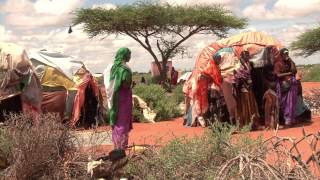 UNHCR Meet: Nation of the Displaced