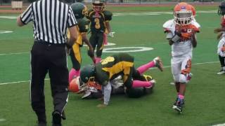 York Bears PeeWees vs Harrisburg Packers